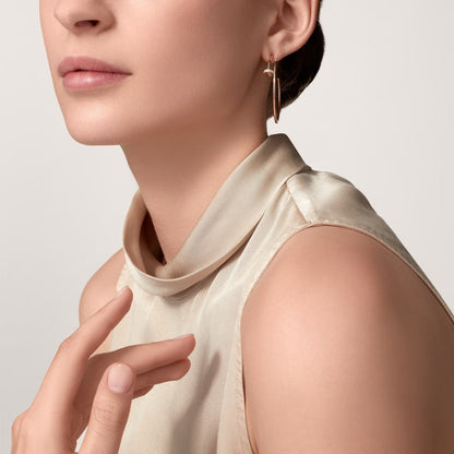 [ElanLuxe Jewelry]JUSTE HALF DIAMOND LARGE EARRINGS