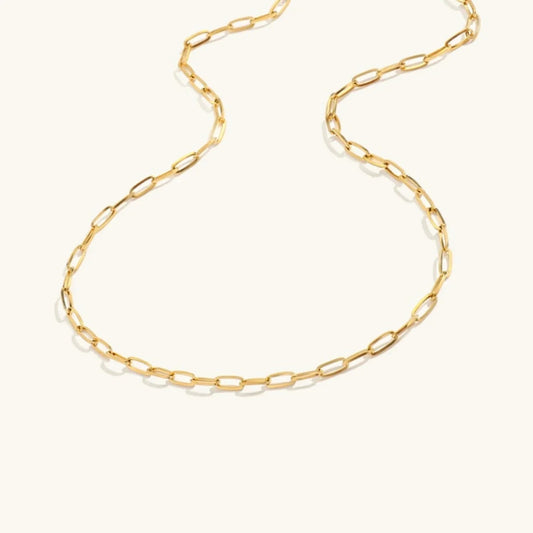 [ElanLuxe]Amber Gold Chain Necklace