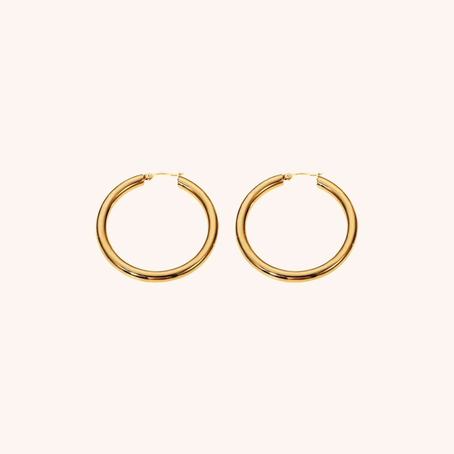 [ElanLuxe]Wide Hoop Earrings
